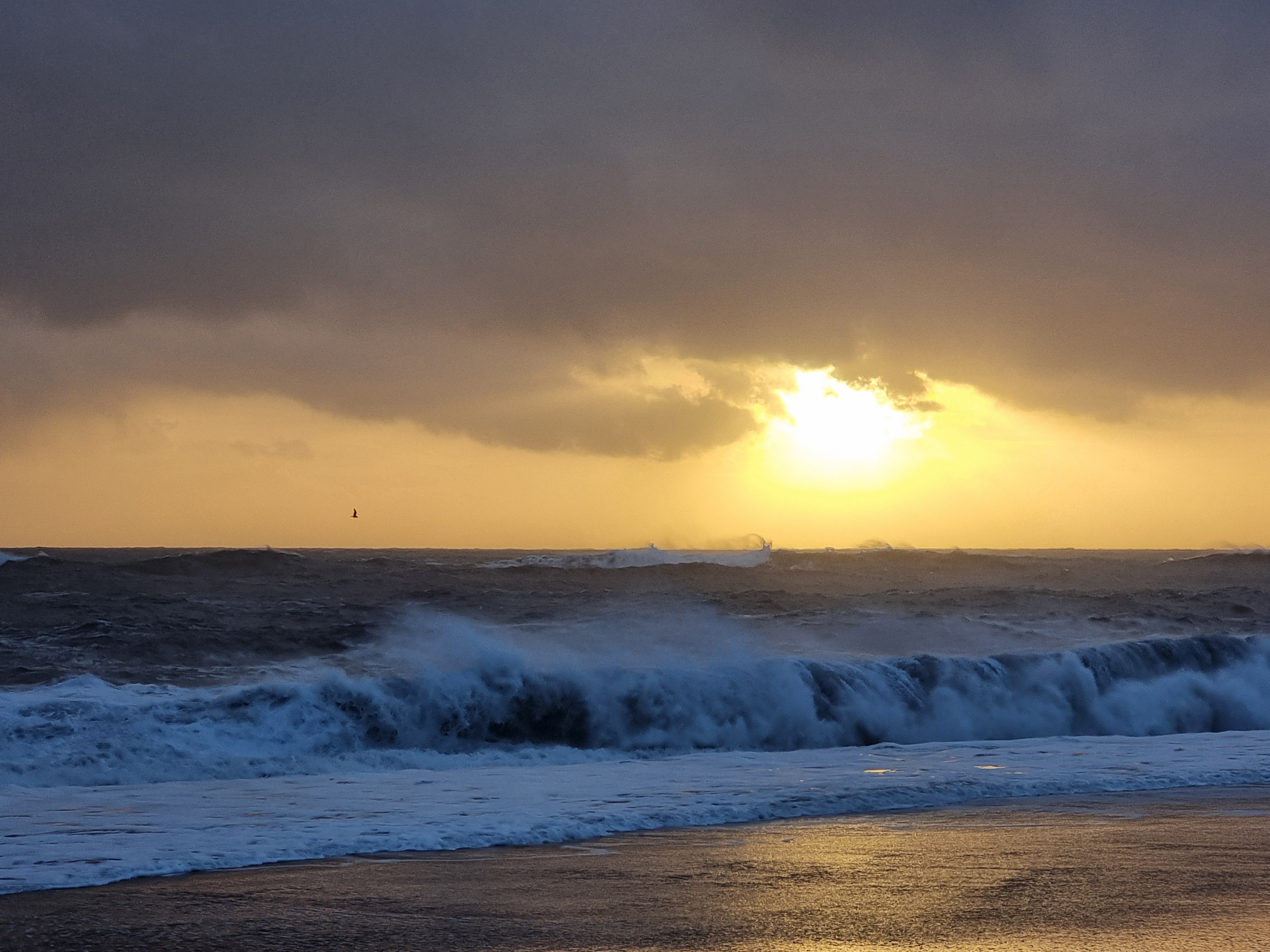 Meer